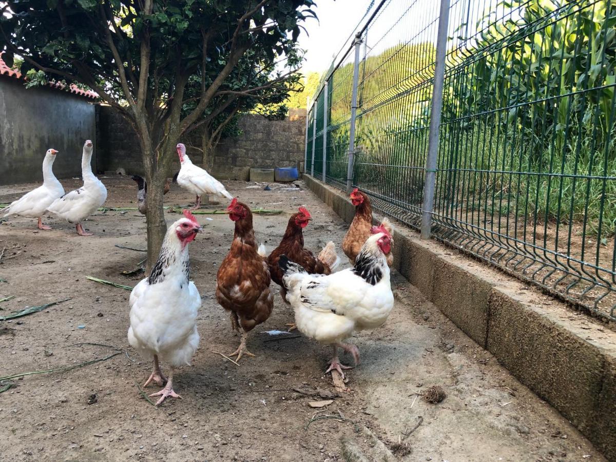 Quinta Do Avo Dimas - Rural Home - Sao Bras Porto Formoso ภายนอก รูปภาพ
