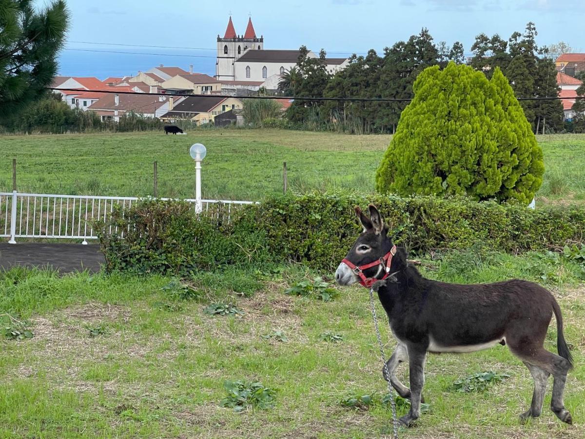 Quinta Do Avo Dimas - Rural Home - Sao Bras Porto Formoso ภายนอก รูปภาพ